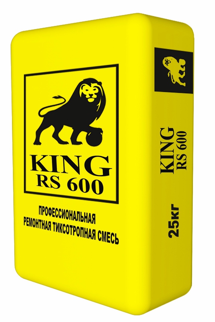    KING RS 600